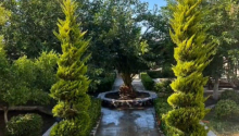 4 otaqlı Villa / Həyət evi, Kirayə (aylıq), Bakı, Xəzər, Koroğlu