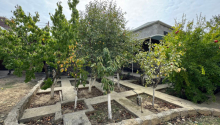 9 otaqlı Villa / Həyət evi, Satış, Bakı, Səbail