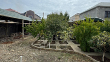 9 otaqlı Villa / Həyət evi, Satış, Bakı, Səbail