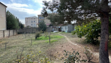 12 sot Torpaq, Satış, Bakı, Səbail