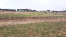 2 hektar Torpaq, Satış, Abşeron