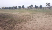 2 hektar Torpaq, Satış, Abşeron