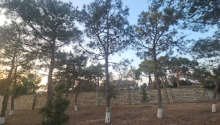 27 sot Torpaq, Satış, Bakı, Xəzər