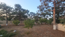 27 sot Torpaq, Satış, Bakı, Xəzər