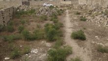 30 sot Torpaq, Satış, Bakı, Sabunçu