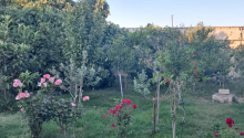 4 otaqlı Bağ evləri, Satış, Bakı, Nərimanov, Nəriman Nərimanov