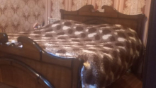 6 otaqlı Villa / Həyət evi, Satış, Bakı, Xəzər, Koroğlu