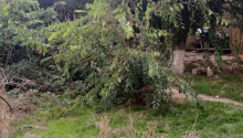 10 sot Torpaq, Satış, Bakı, Nizami, Q.Qarayev