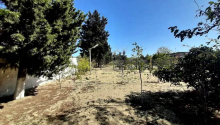 6 otaqlı Bağ evləri, Satış, Abşeron