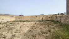 2,8 sot Torpaq, Satış, Abşeron