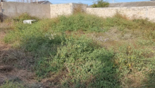 29 sot Torpaq, Satış, Bakı, Xəzər, Koroğlu