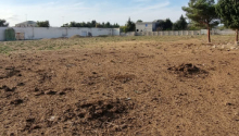 134 sot Torpaq, Satış, Bakı, Xəzər, Koroğlu
