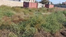 29 sot Torpaq, Satış, Bakı, Xəzər, Koroğlu