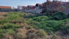 29 sot Torpaq, Satış, Bakı, Xəzər, Koroğlu
