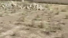 400 m2 Torpaq, Satış, Abşeron