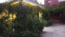 9 otaqlı Villa / Həyət evi, Satış, Bakı, Xəzər, Koroğlu