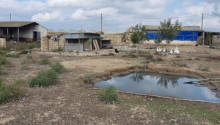 2400 sot Torpaq, Satış, Bakı, Xəzər, Koroğlu