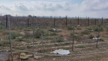 2400 sot Torpaq, Satış, Bakı, Xəzər, Koroğlu