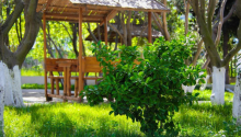 1 otaqlı Obyekt, Kirayə (aylıq), Bakı, Səbail, Sahil