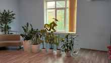11 otaqlı Ofis, Kirayə (aylıq), Bakı, Binəqədi, Nəsimi