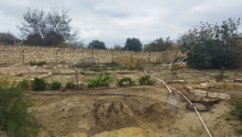 120 m2 Torpaq, Satış, Sumqayıt