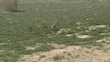100 sot Torpaq, Satış, Bakı, Suraxanı, Həzi Aslanov