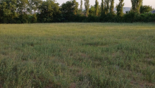 8000 m2 Torpaq, Satış, Şəki
