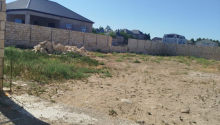 8 sot Torpaq, Satış, Abşeron
