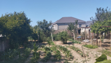 6 sot Torpaq, Satış, Bakı, Sabunçu
