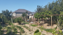 6 sot Torpaq, Satış, Bakı, Sabunçu