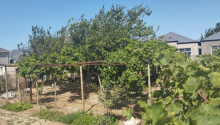 6 sot Torpaq, Satış, Bakı, Sabunçu