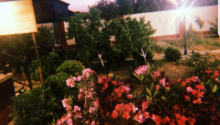 6 otaqlı Bağ evləri, Satış, Bakı, Suraxanı