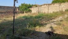 3 otaqlı Villa / Həyət evi, Satış, Bakı, Sabunçu, Koroğlu