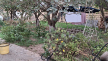 5 otaqlı Villa / Həyət evi, Satış, Bakı, Sabunçu, Koroğlu