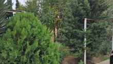 5 otaqlı Villa / Həyət evi, Satış, Bakı, Sabunçu, Koroğlu
