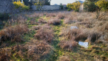 15 sot Torpaq, Satış, Bakı, Sabunçu, Koroğlu