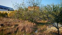 15 sot Torpaq, Satış, Bakı, Sabunçu, Koroğlu