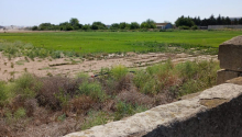 18 hektar Torpaq, Satış, Bakı, Xəzər, Koroğlu