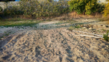 11 sot Torpaq, Satış, Bakı, Sabunçu, Koroğlu