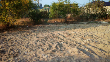 11 sot Torpaq, Satış, Bakı, Sabunçu, Koroğlu