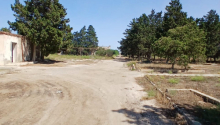18 hektar Torpaq, Satış, Bakı, Xəzər, Koroğlu