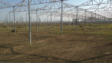 120 sot Torpaq, Satış, Abşeron