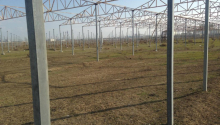 120 sot Torpaq, Satış, Abşeron
