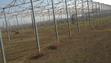 120 sot Torpaq, Satış, Abşeron