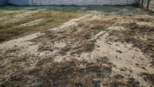 12 sot Torpaq, Satış, Bakı, Sabunçu, Koroğlu