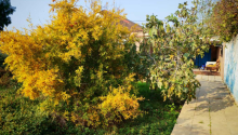 3 otaqlı Villa / Həyət evi, Satış, Bakı, Sabunçu, Koroğlu