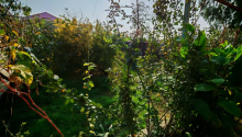 3 otaqlı Villa / Həyət evi, Satış, Bakı, Sabunçu, Koroğlu