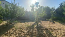 3 sot Torpaq, Satış, Bakı, Xəzər
