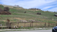 24 sot Torpaq, Satış, Şamaxı