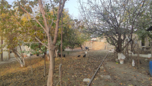4 sot Torpaq, Satış, Bakı, Binəqədi, 20 yanvar